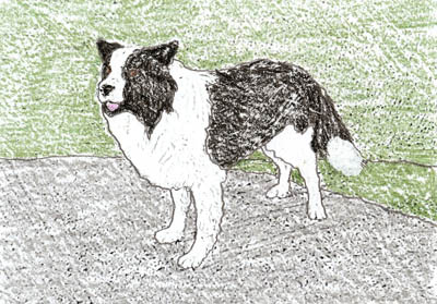 jake